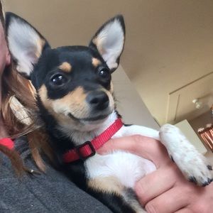 Meet your Posher, Michele